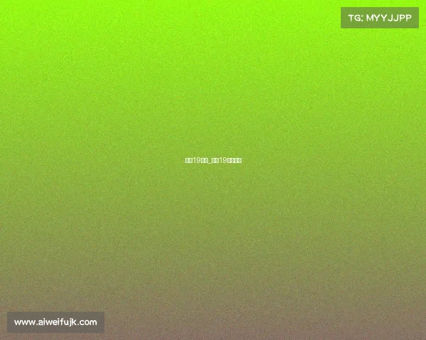 申花19赛事_申花19赛季名单