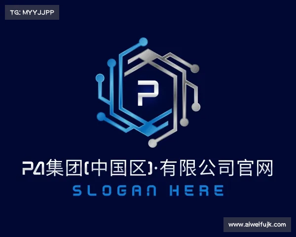 解读PA集团(中国区)·有限公司官网